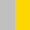 Silver - Gold Silver - Gold