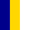 Navy - Gold - White color swatch